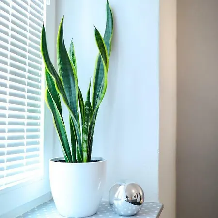 Stomorica Apartamento Zadar