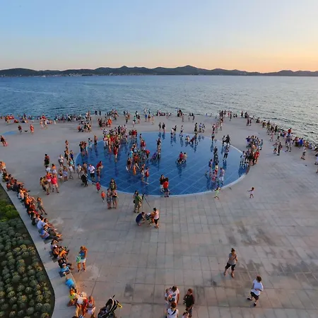 Stomorica * Zadar
