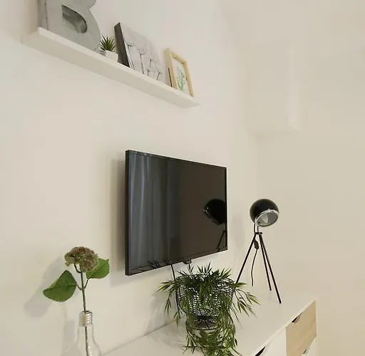 Stomorica زادار