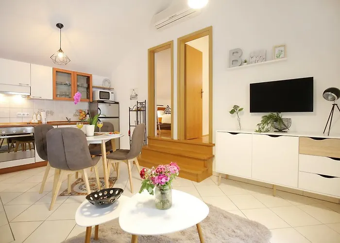 Stomorica * زادار